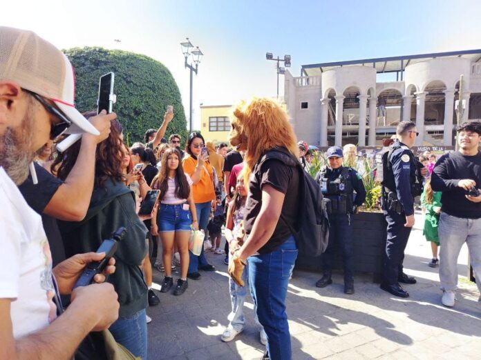 WhatsApp Image 2026-02-21 at 12.13.59 PM