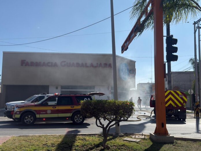 WhatsApp Image 2026-02-22 at 12.06.24 PM