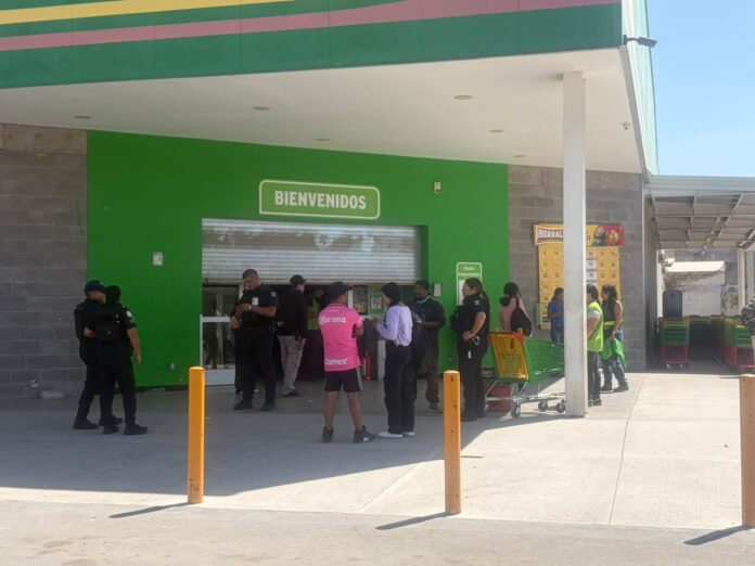 WhatsApp Image 2026-02-22 at 3.37.40 PM (1)