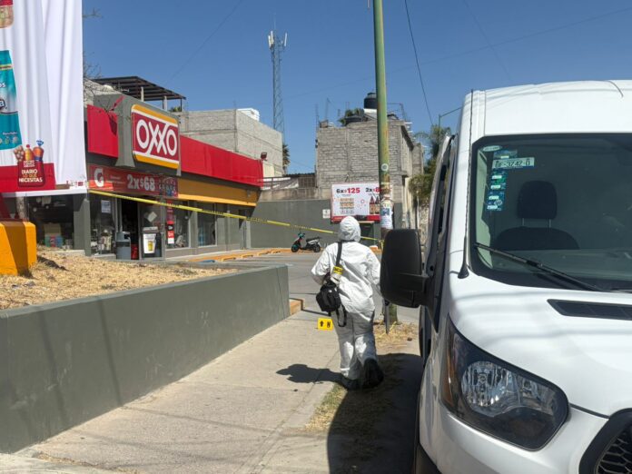 WhatsApp Image 2026-02-22 at 3.37.40 PM