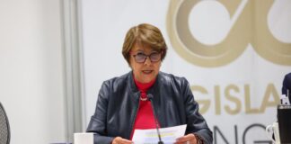 Aprueban dictámen a favor de la salud mental de las mujeres