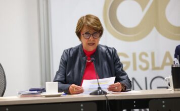 Aprueban dictámen a favor de la salud mental de las mujeres