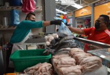 Inspecciona SSG expendios de pescados y mariscos en Guanajuato