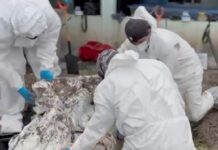 Franco de Tavera, lugar del entierro clandestino más grande en Guanajuato