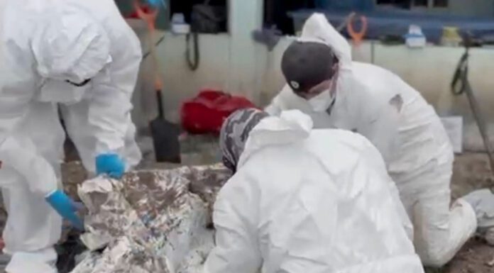 Franco de Tavera, lugar del entierro clandestino más grande en Guanajuato