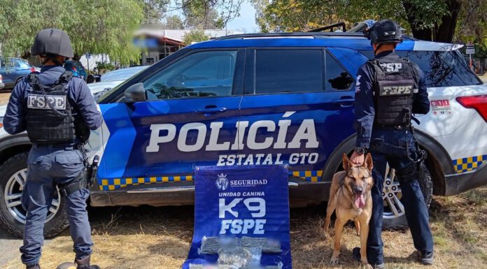 La unidad K9 de Policía Estatal descubre vapeadores con marihuana
