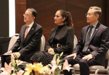 Guanajuato comparte con Japón algo más que su fiesta nacional