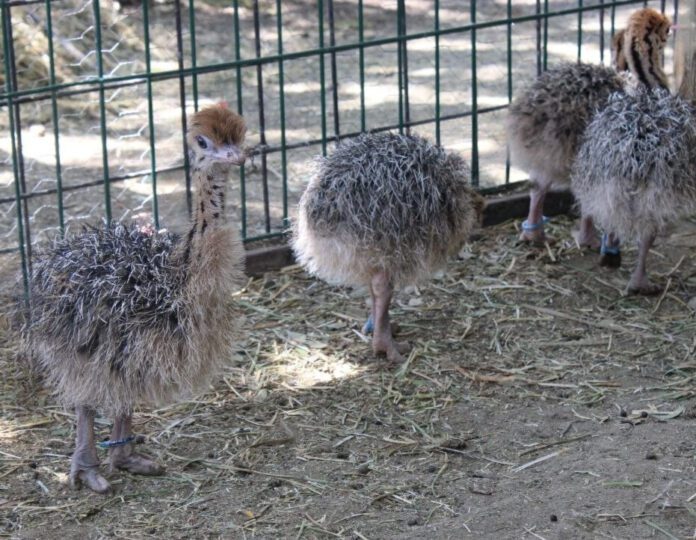 02784729-7349-4bc2-879f-b2e4fd3f7717