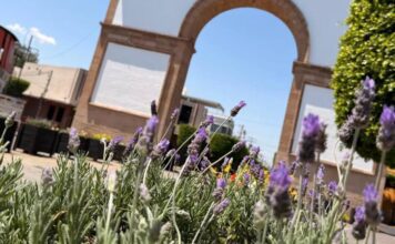 Embellecen a León con los colores de primavera