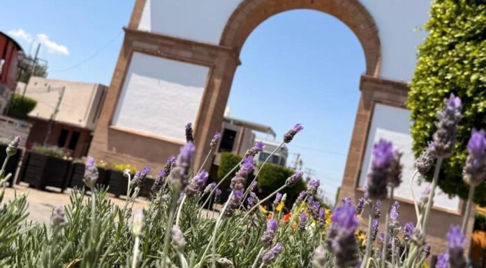 Embellecen a León con los colores de primavera