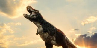 Estas vacaciones vive una experiencia inmersiva en Explora