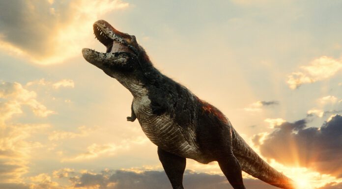 Estas vacaciones vive una experiencia inmersiva en Explora