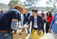 Entrega DIF estatal aves de traspatio en San Miguel de Allende