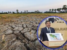 Diputados de AN y PRD van por leyes para fortalecer al campo de Guanajuato