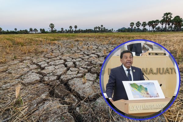 El terrorismo es la negación de las vías legales, del diálogo y la mediación, y en el caso que nos ocupa, una amenaza constante en la zona (16)