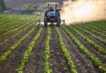 Guanajuato podría retomar mecanismo de crédito FIRA