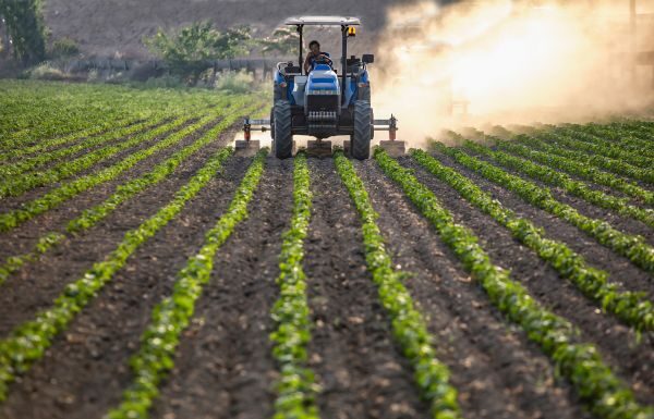 Guanajuato podría retomar mecanismo de crédito FIRA