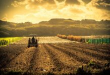 Agricultores de EU frente a crisis por guerra
