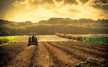 Agricultores de EU frente a crisis por guerra