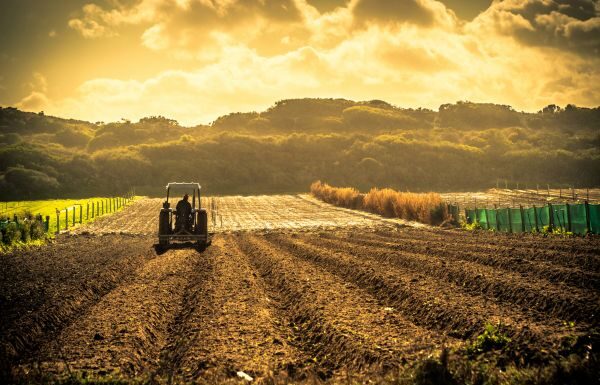 Agricultores de EU frente a crisis por guerra