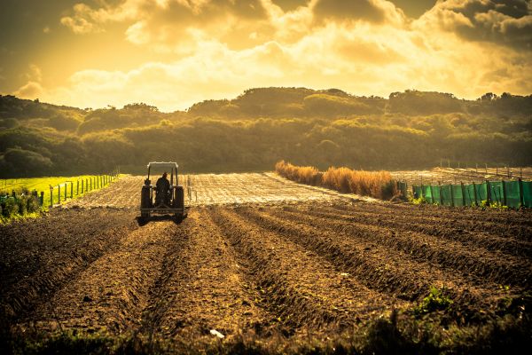 El terrorismo es la negación de las vías legales, del diálogo y la mediación, y en el caso que nos ocupa, una amenaza constante en la zona - 2026-03-14T163625.403