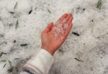 Sorprende granizada en León este lunes (VIDEO)