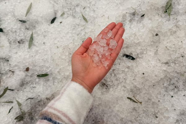 El terrorismo es la negación de las vías legales, del diálogo y la mediación, y en el caso que nos ocupa, una amenaza constante en la zona (23)