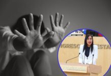 Con votos de bancadas del PAN-PRD aprueban sanciones severas a violencia vicaria