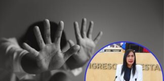 Con votos de bancadas del PAN-PRD se reconoce violencia vicaria