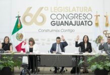 Impulsan diputados de AN creación de registro público de agresores en Guanajuato