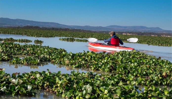 WhatsApp Image 2026-03-30 at 3.29.25 PM