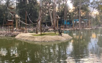 Próxima semana habrá terna para director de Zoo León