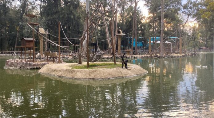 Próxima semana habrá terna para director de Zoo León