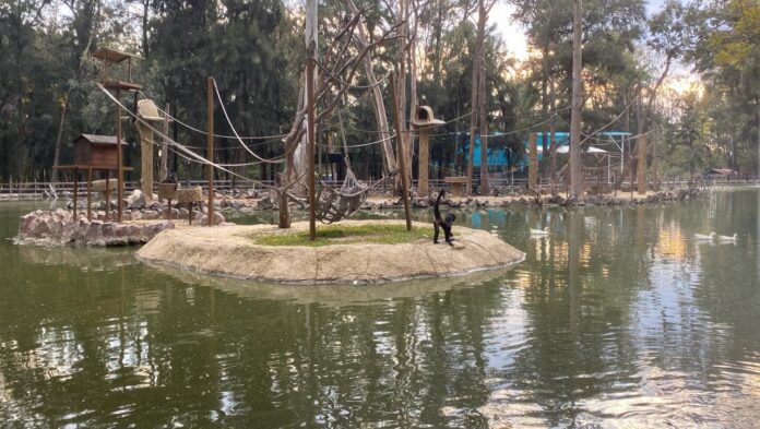 WhatsApp Image 2026-03-31 at 7.08.43 PM