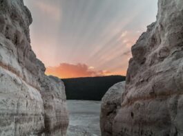 Fortalece Turismo Guanajuato intercambio económico en la ANATO 2026