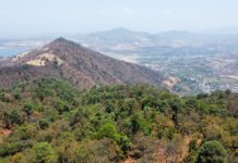 P&G y Nación Verde impulsan proyecto por seguridad hídrica en el Cutzamala