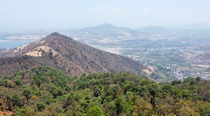 P&G y Nación Verde impulsan proyecto por seguridad hídrica en el Cutzamala