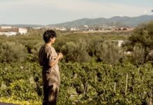 Califican a San Miguel de Allende la Mejor Región Vitivinícola de México