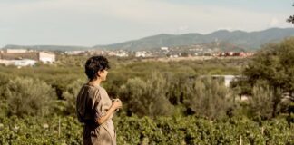 Califican a San Miguel de Allende la Mejor Región Vitivinícola de México