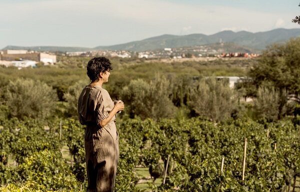 Califican a San Miguel de Allende la Mejor Región Vitivinícola de México