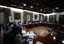 Reducción de Cabildo atenta contra la gobernanza de municipios: Ale Gutiérrez