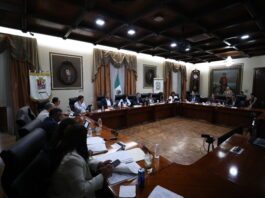 Reducción de Cabildo atenta contra la gobernanza de municipios: Ale Gutiérrez