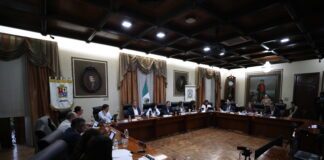 Reducción de Cabildo atenta contra la gobernanza de municipios: Ale Gutiérrez