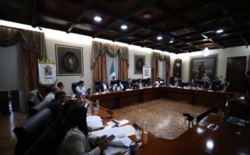 Reducción de Cabildo atenta contra la gobernanza de municipios: Ale Gutiérrez