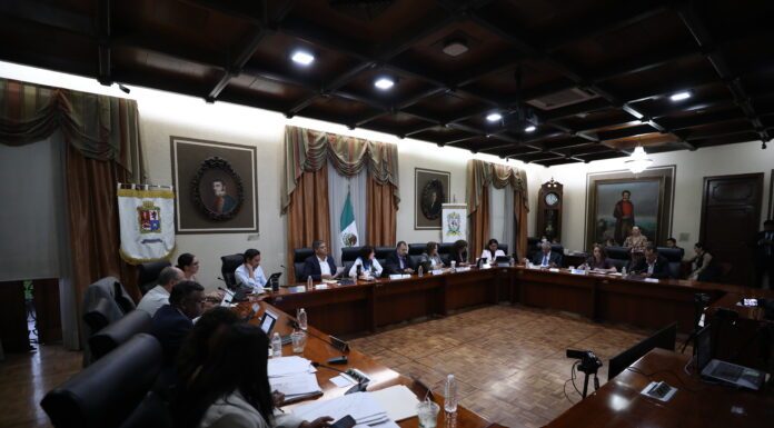 Reducción de Cabildo atenta contra la gobernanza de municipios: Ale Gutiérrez