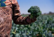 Maquinaria Medina, da el salto de Guanajuato a Estados Unidos
