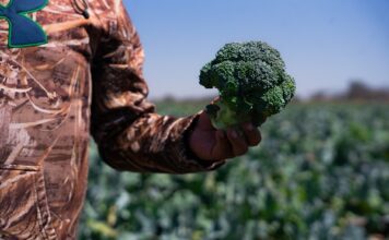 Maquinaria Medina, da el salto de Guanajuato a Estados Unidos