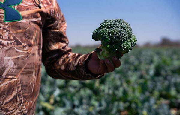 Maquinaria Medina, da el salto de Guanajuato a Estados Unidos