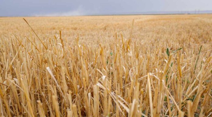 Invertirán 60 MDP para salvar a Guanajuato de infartos hídricos