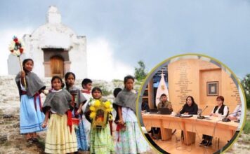 Analizan Ley para la Protección de Pueblos Indígenas y Afromexicanas